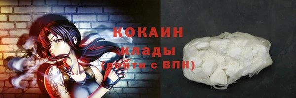 меф Ельня