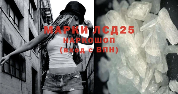 меф Ельня